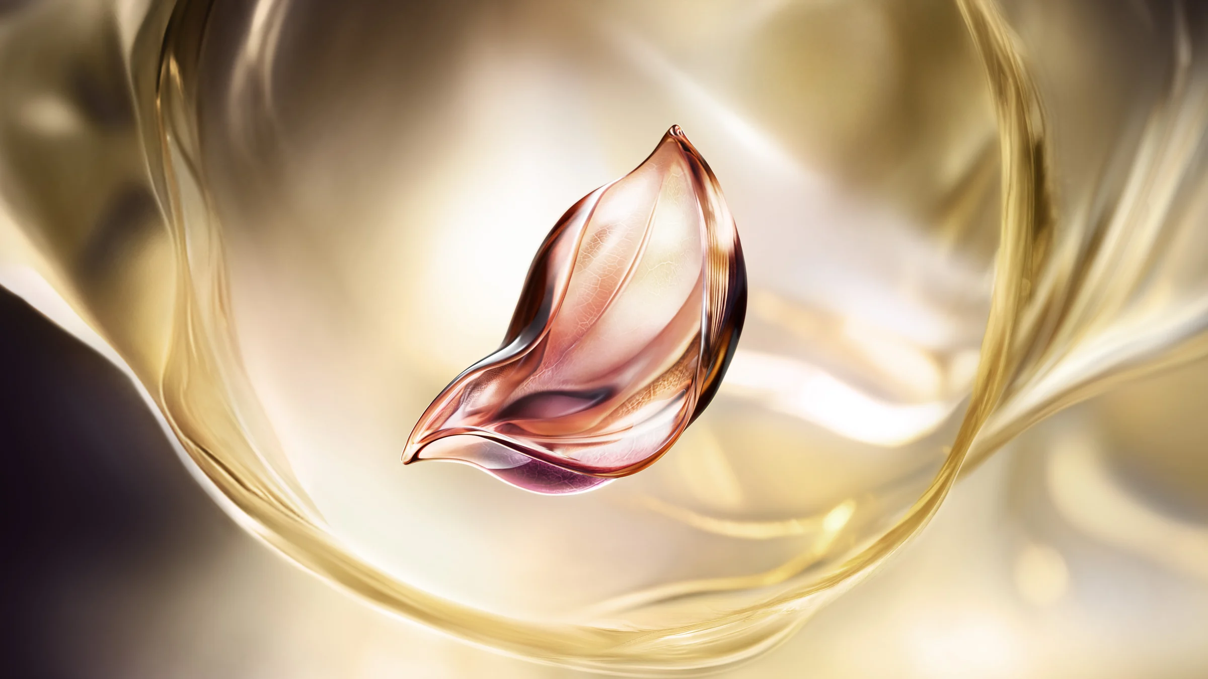 Lancôme Absolue perpetual rose ingredient visual